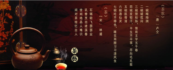 中国茶艺茶道泡茶教学视频教程合集百度网盘下载