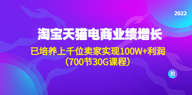淘系天猫电商业绩增长：已培养上千位卖家实现100W+利润（700节30G课程）